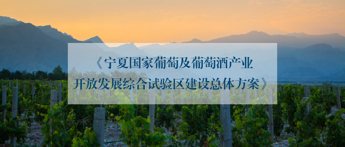 读醉酒庄指南