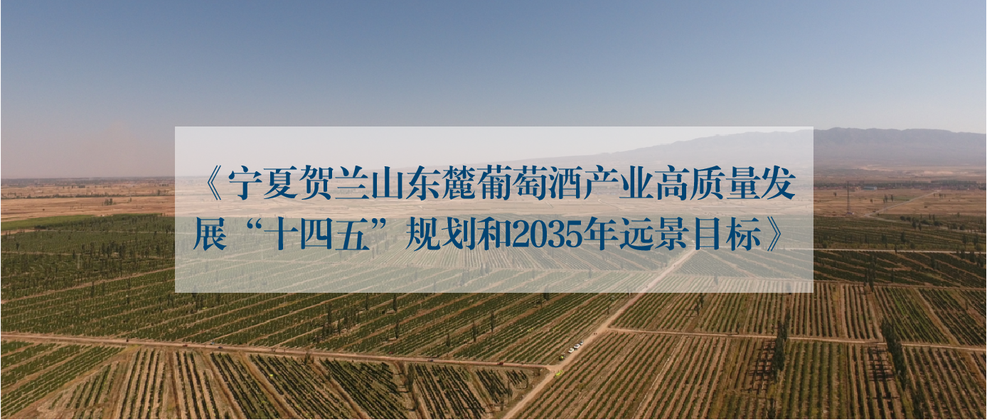 读醉酒庄指南