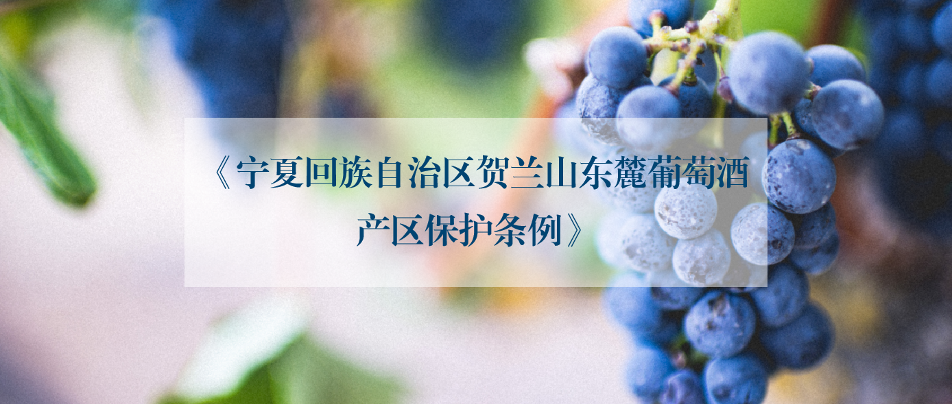 读醉酒庄指南