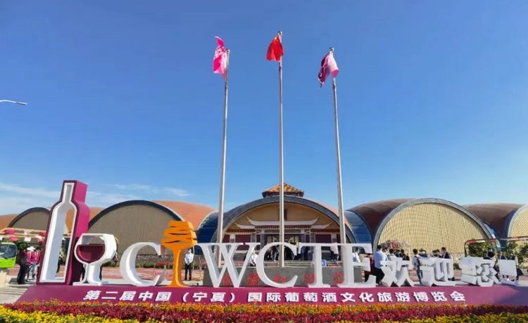 读醉酒庄指南